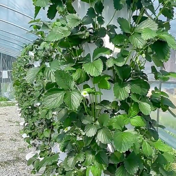 13 Layer Hydroponic Tower
