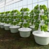 5 Layer Hydroponic Tower