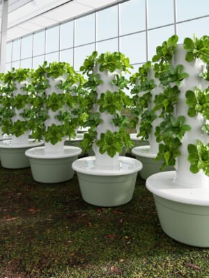 5 Layer Hydroponic Tower