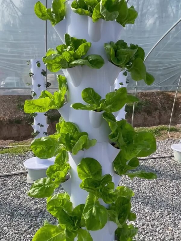 10 Layer Hydroponic Tower
