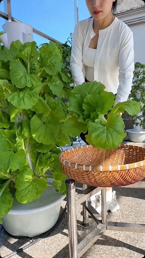 Hydroponic tower growing system detail