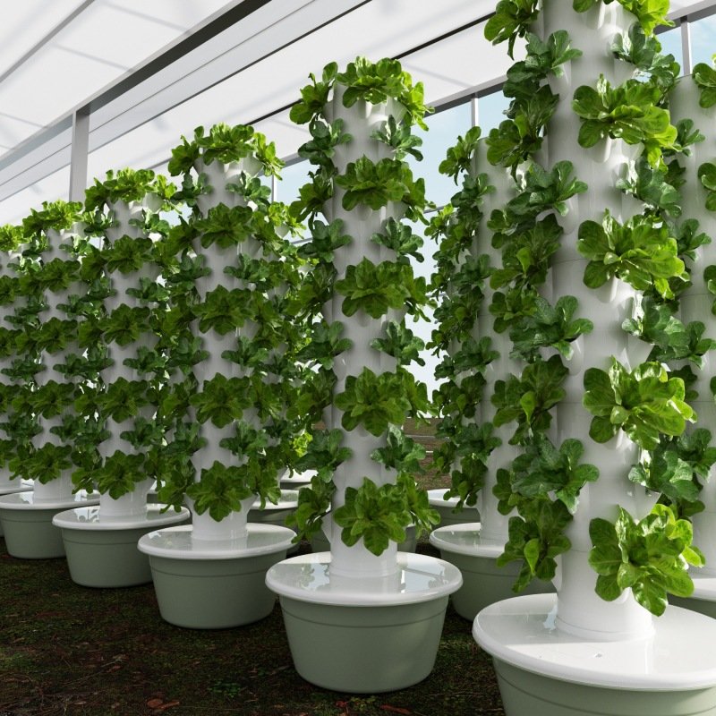 Hydroponic tower in greenhouse