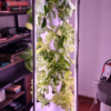 Hydroponic Tower with LED Grow Light System (5–11 Layers)